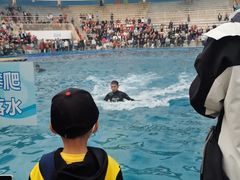 -北戴河圣蓝海洋公园