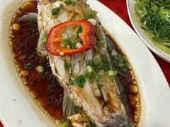 -先鲜鲫鱼粥