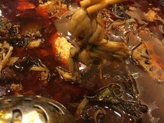 -自贡好吃客(科华店)