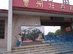 -曹州百花园