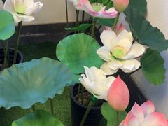 -芦月轩羊蝎子(劲松店)