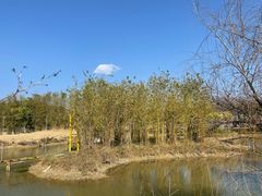 -天适樱花悠乐园