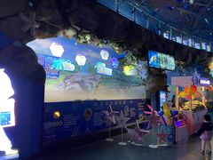 -烟台海昌鲸鲨海洋公园