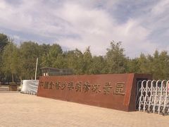 -金塔沙漠胡杨林景区