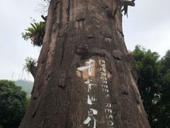 -青青世界