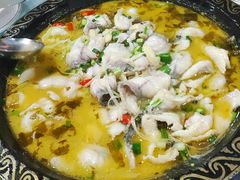 -金三可市井水煮鱼(金碧园店)