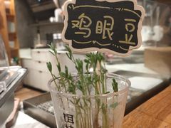 -饵块食光·云南有机手作饵块