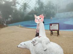 -麦积山温泉