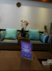 -广州萨谛艾扬格瑜伽中心