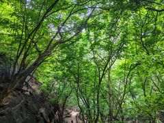 -苍岩山风景名胜区