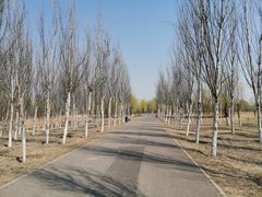 -东郊湿地公园