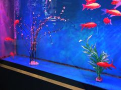 -蜀锦堂·川味现炒(襄阳武商汇店)