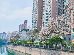 -成都市活水公园