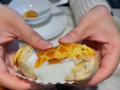 酥皮水牛奶菠萝包-陶陶居酒家(海岸城店)