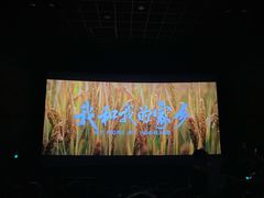 -SFC上影影城(北京大兴龙湖天街IMAX店)