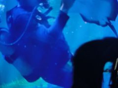 -嘉兴海底世界