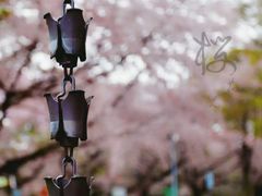 -名古屋城