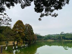 -东莞植物园