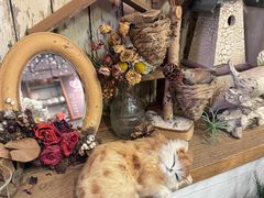 -乡田小墅(展览馆路JK FUN商城店)