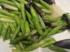 -海派美食·家宴海鲜青岛菜·石锅鲽鱼头(东方城店)