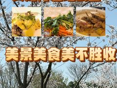 -贡湖湾湿地公园