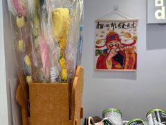 -babydoll猫舍·米努特·德文·缅因(久光中心店)