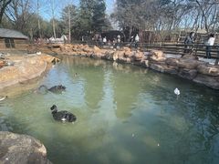 -北京世界公园