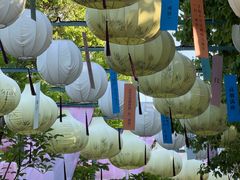 -东湖景区