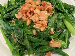 猪油渣捞苦麦菜-天喜酒楼饭市·茶市(同德皇宫店)