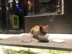 -ISLAND MASS岛·精酿吧