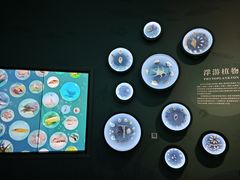 -中国湿地博物馆