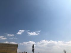-捞渔河湿地公园
