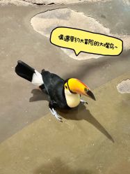 -Zoolung Zoolung动物主题公园(海信广场店)