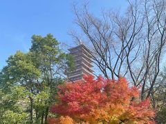 -牛首山文化旅游区