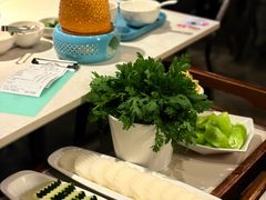 -百年果林椰子鸡(中洲店)