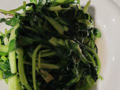 上汤鸡毛菜-金枝玉叶上海人家食府(三里河店)