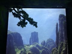 -新盈光·心院(嘉恒广场店)