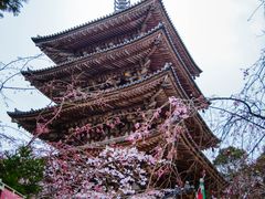 -醍醐寺