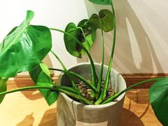 -面包与我Bread Or Me(长城汇店)