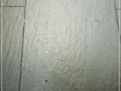 -吉野家(秀谷店)