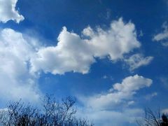 -魏家凉皮(马驹桥店)