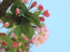 -红星桥(地铁站)