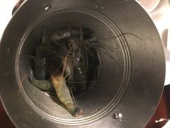 -星伦多 自助料理(圆融店)
