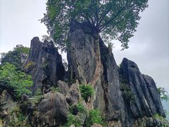 -玉石林风景区