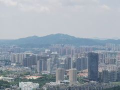 -茶颜悦色(岳麓山顶店)
