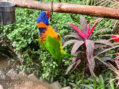 -南宫五洲植物乐园