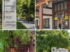 -橘子洲景区