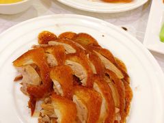 -津悦·正阳春烤鸭(红旗南路店)