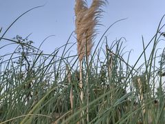 -汉长安城未央宫国家考古遗址公园