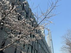 -南京鼓楼医院(鼓楼本部)